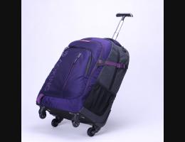 PUSH!旅遊休閒用品拉桿雙肩背包電腦包大容量輕型拉桿包20L萬向輪U57-2小號紫色